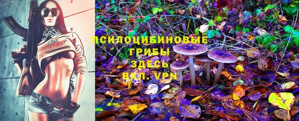 герыч Абаза